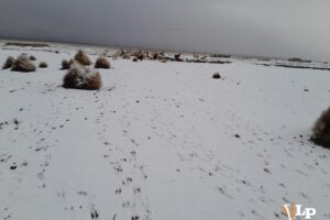 nevada en el departamento de Oruro