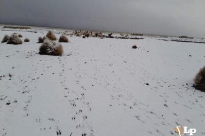 nevada en el departamento de Oruro
