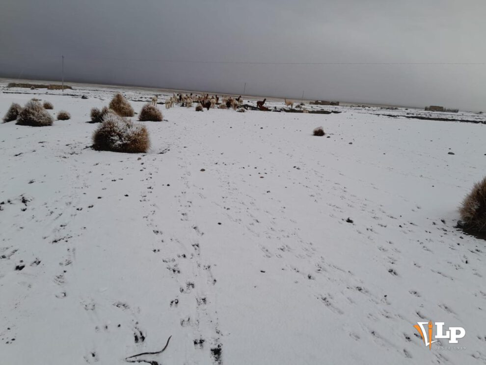 nevada en el departamento de Oruro