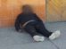 Imagen del fallecido