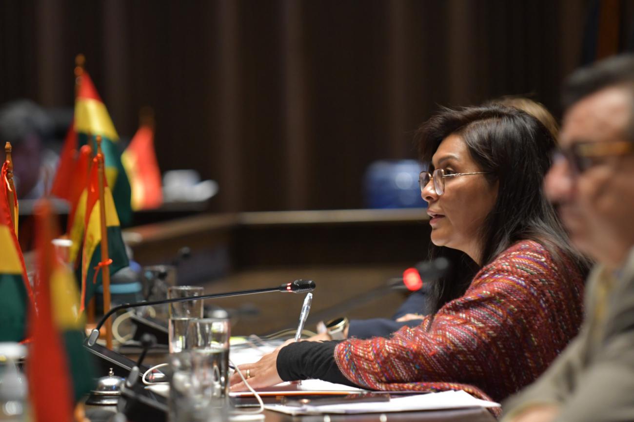 La senadora proyectista, Soledad Chapetón, durante de la sesión de la Cámara de Diputados