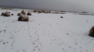 nevada en Oruro