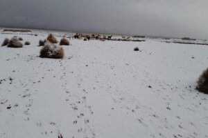 nevada en Oruro
