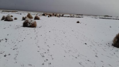 nevada en Oruro