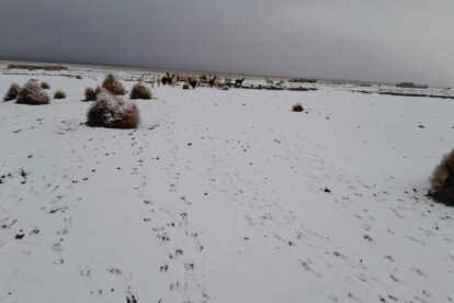 nevada en Oruro
