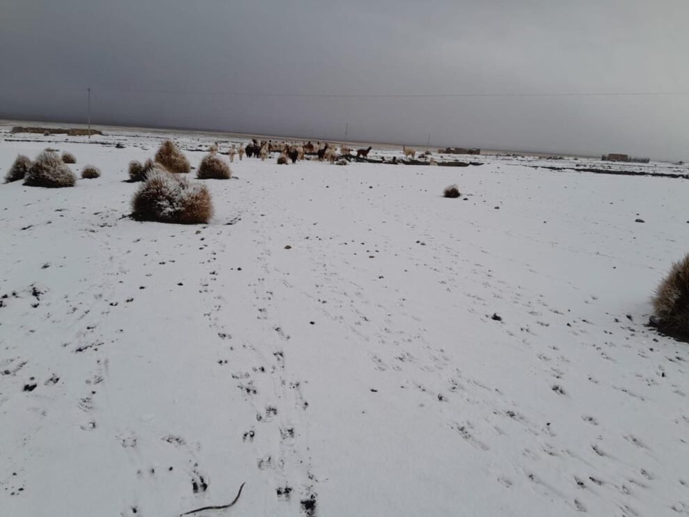 nevada en Oruro