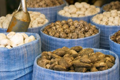 Variedad de chuño y tunta exhibidos en sacos
