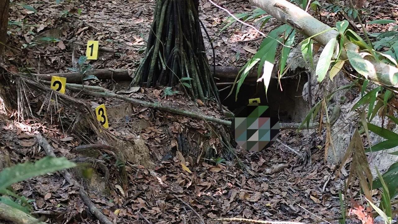 Zona boscosa de la comunidad Colorado en Porvenir, Pando, donde fue hallado el bebé