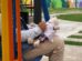 Una niña sosteniendo un muñeco de tela en Santa Cruz