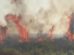 Incendio forestal en Santa Cruz