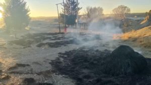 Imagen de las cenizas
