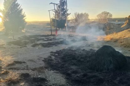 Imagen de las cenizas