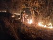 Bomberos mitigando el fuego