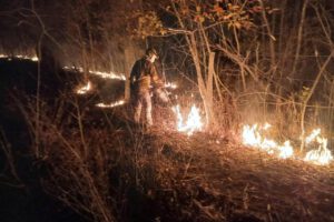 Bomberos mitigando el fuego