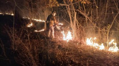 Bomberos mitigando el fuego