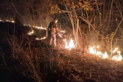Bomberos mitigando el fuego