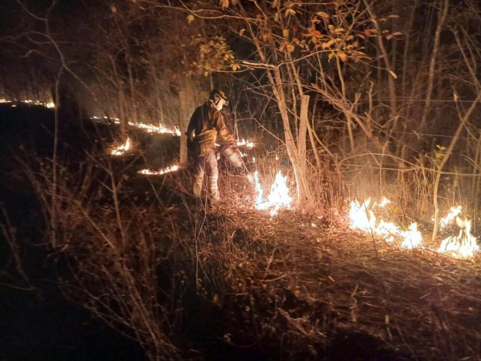 Bomberos mitigando el fuego