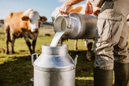 La exportación de leche bajó el 2025