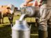 La exportación de leche bajó el 2025