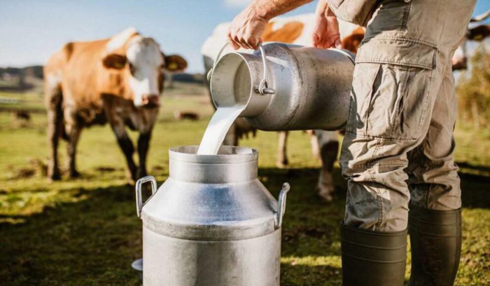 La exportación de leche bajó el 2025