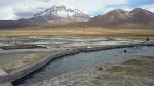 Sajama