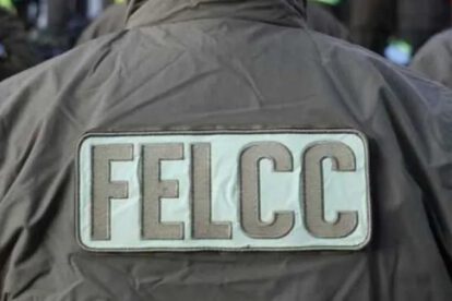 Felcc