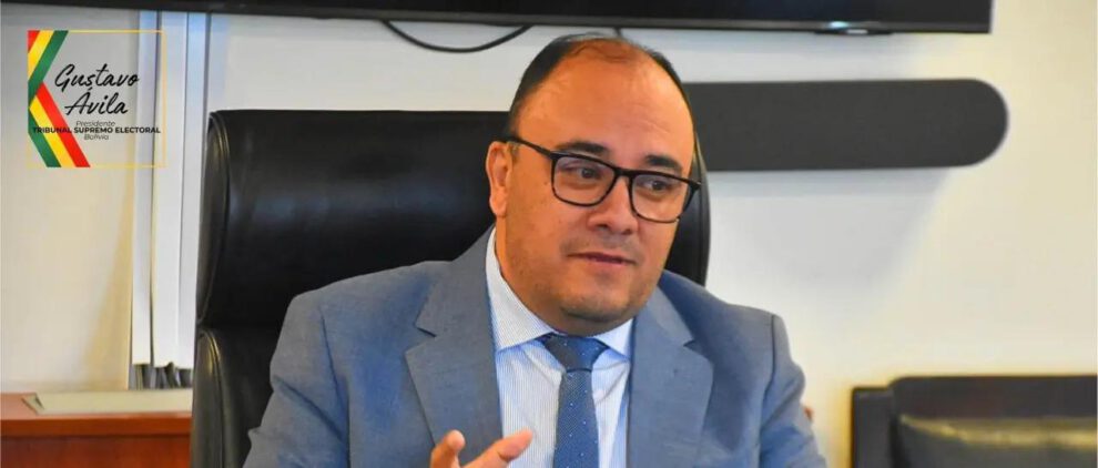 Gustavo Ávila, presidente del Tribunal Supremo Electoral (TSE)