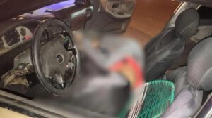 Conductor de un vehículo muerto
