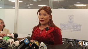La diputada Pinto en conferencia de prensa