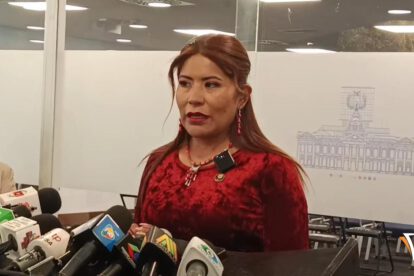 La diputada Pinto en conferencia de prensa