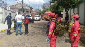 Bomberos y personas