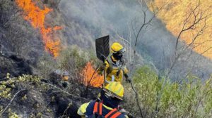 Equipos de emergencia sofocando un incendio