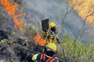 Equipos de emergencia sofocando un incendio