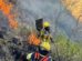 Equipos de emergencia sofocando un incendio