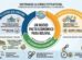 infografía