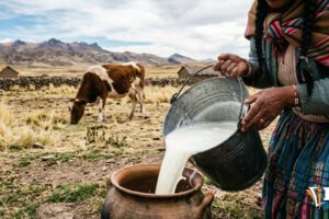 leche en el altiplano
