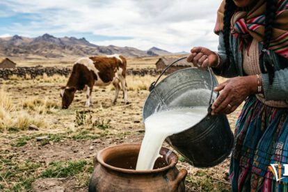 leche en el altiplano