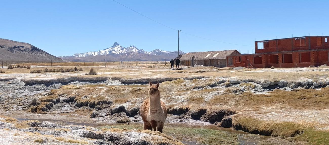 visita de la PNUD en el Parque Sajama
