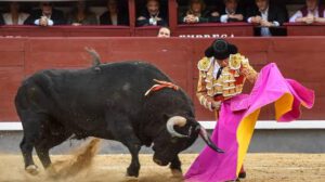 corrida de toros