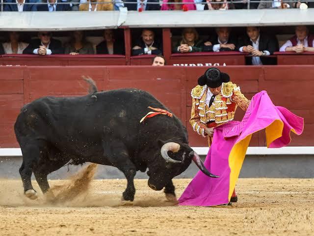 corrida de toros