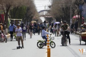 Día del peatón