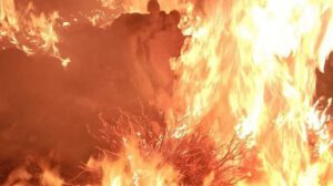 Imagen del incendio