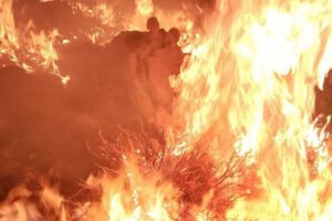 Imagen del incendio