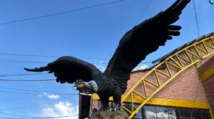 cóndor de los andes