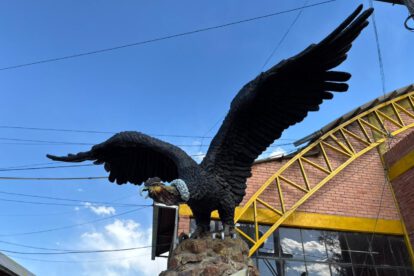 cóndor de los andes