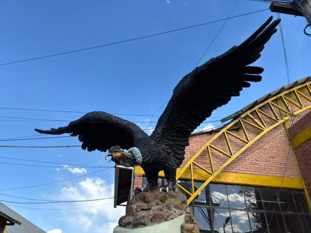 cóndor de los andes