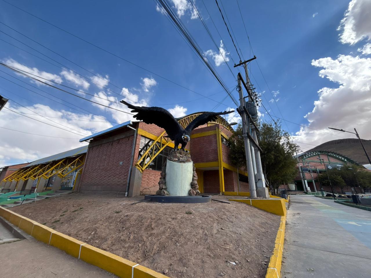 cóndor de los andes