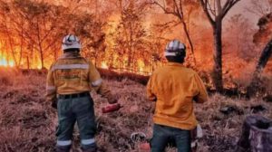 incendio forestal