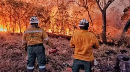 incendio forestal