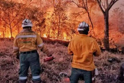 incendio forestal